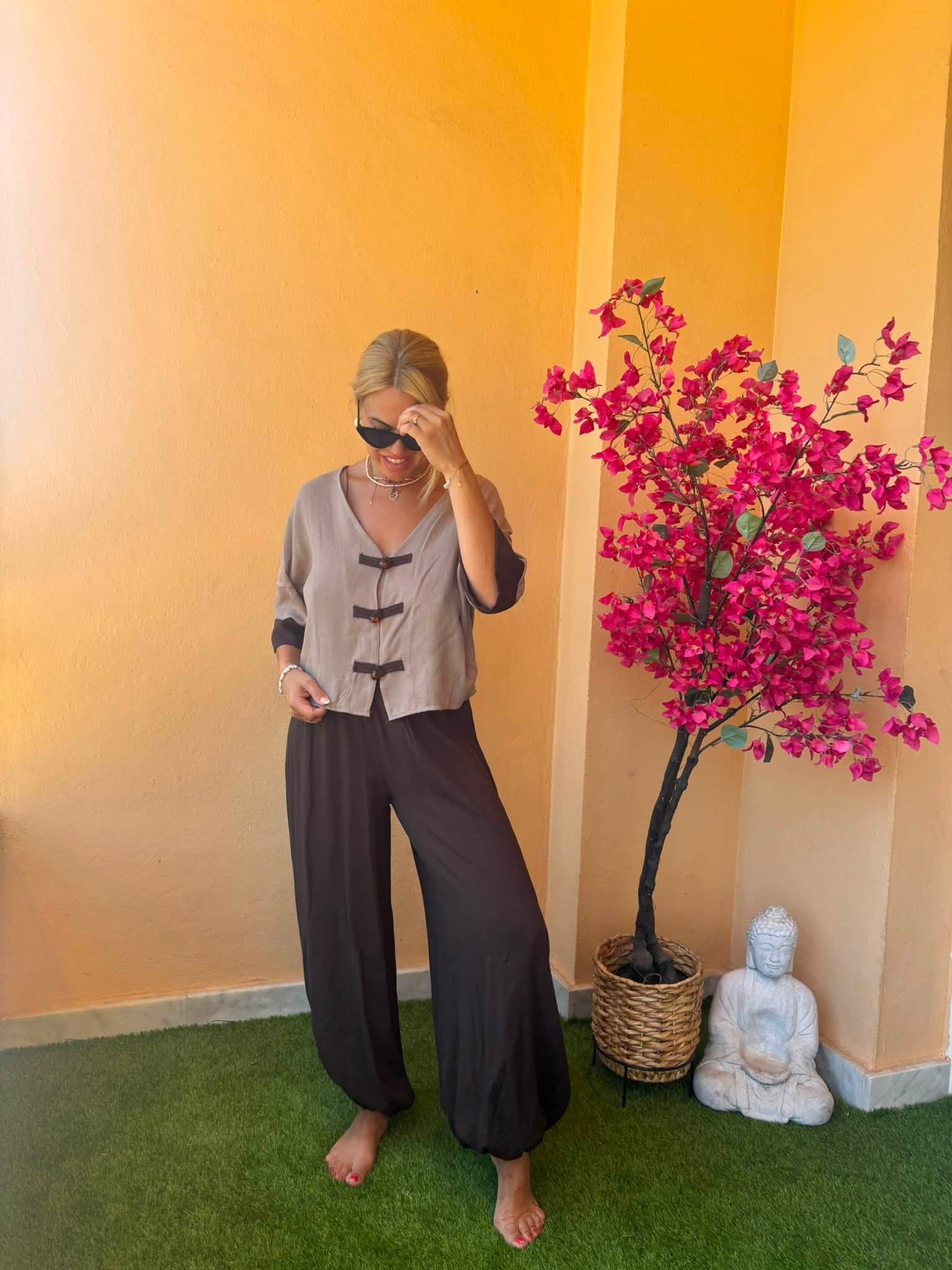 conjunto ELISA